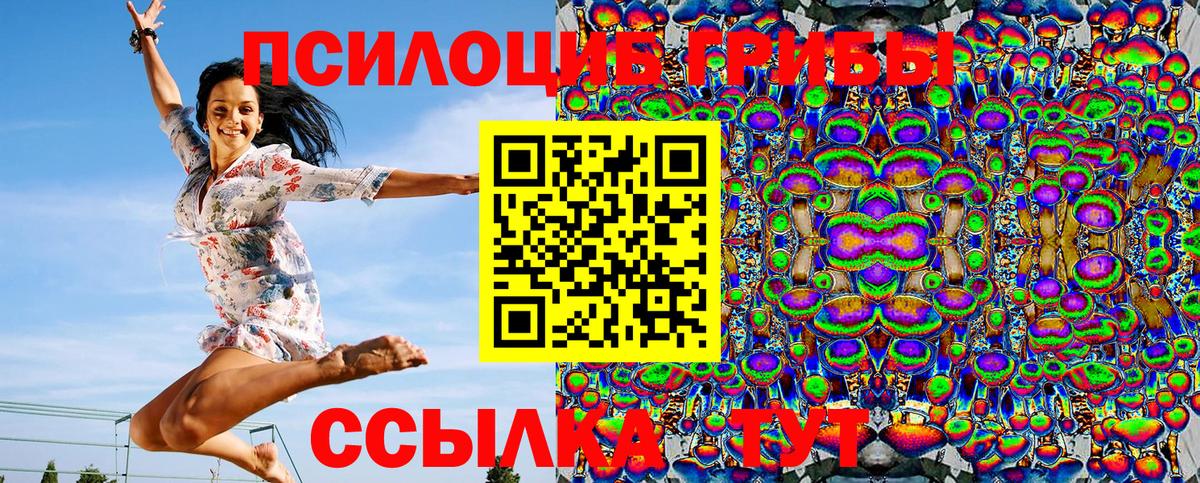 Галлюциногенные грибы Psilocybine cubensis Гусиноозёрск