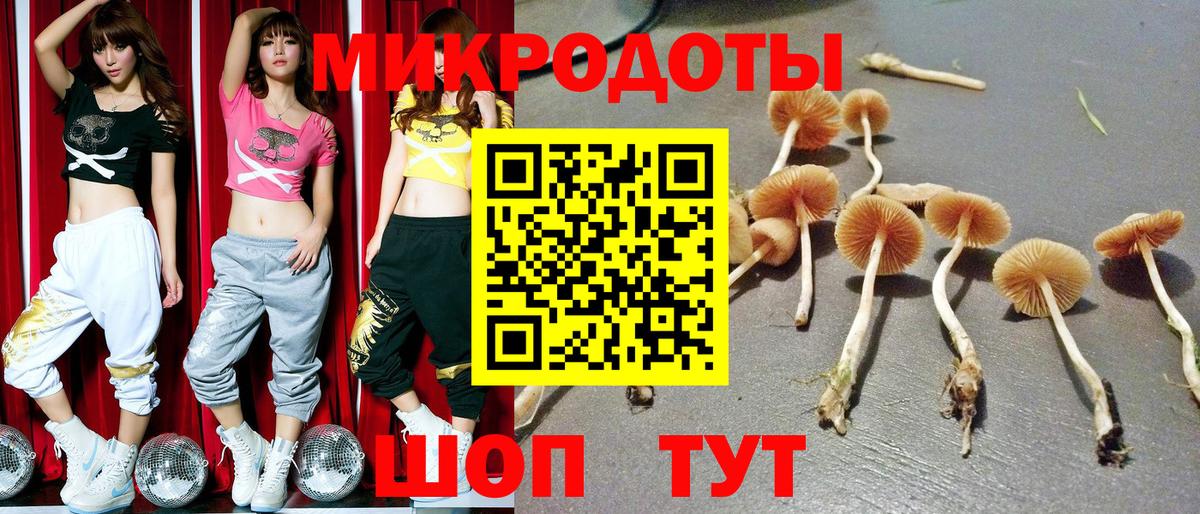Галлюциногенные грибы Psilocybe  Вход с VPN  Гусиноозёрск  Галлюциногенные грибы прущие грибы 